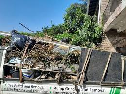  Plainfield, IL Junk Removal Services Pros